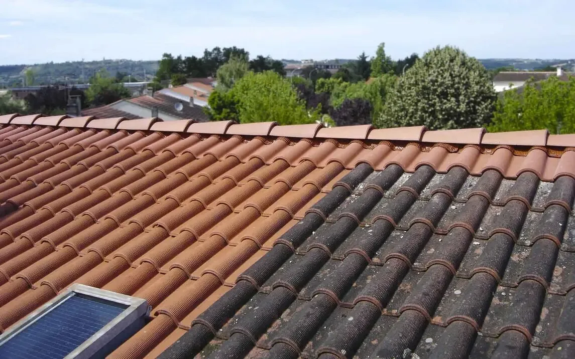 Démoussage et traitement anti-mousse d'une toiture dans le Loiret