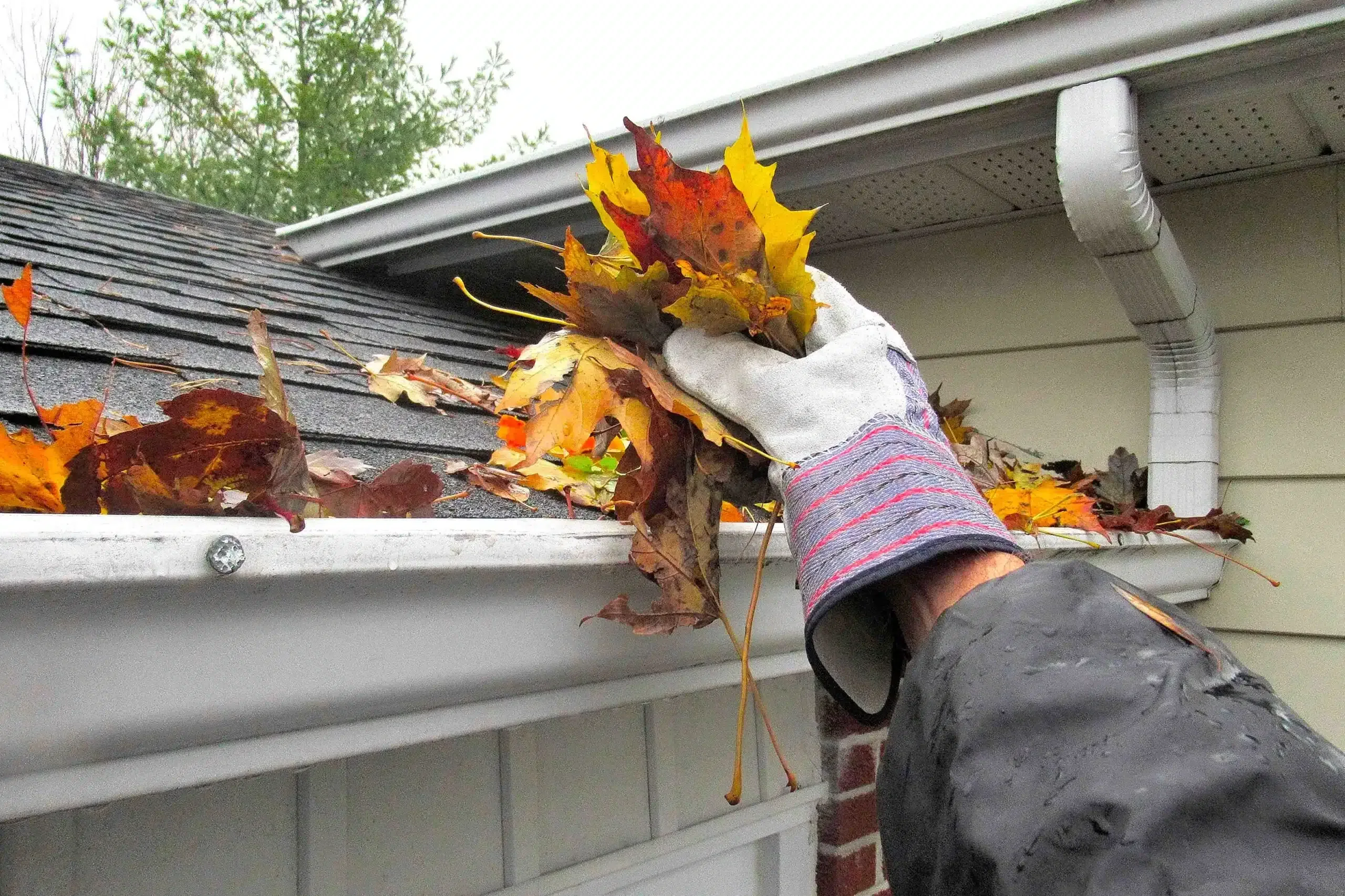 Nettoyage de gouttières à Saint-Jean-de-la-Ruelle — Schartier Couverture
